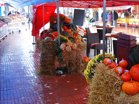 01/11/08 - Dégustation de soupes au Touquet