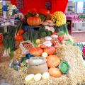 01/11/08 - Dégustation de soupes au Touquet