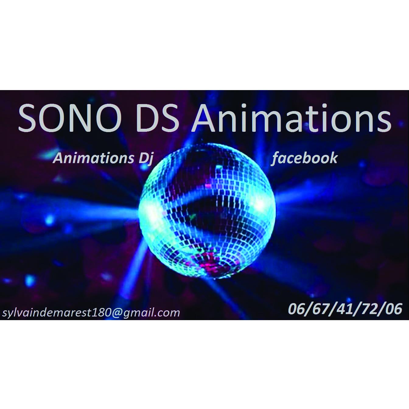 Sono ds animation