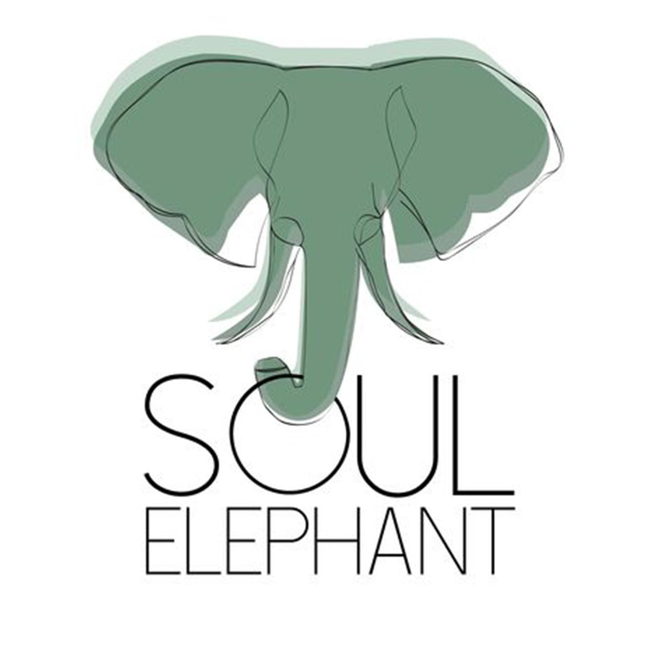 SOUL ELEPHANT